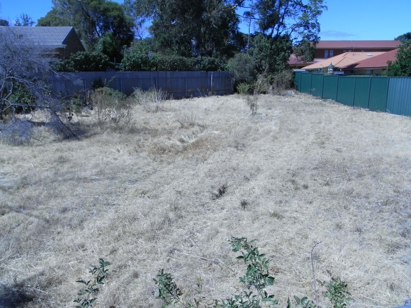 2 Kirkdale Avenue, Hazelwood Park SA 5066