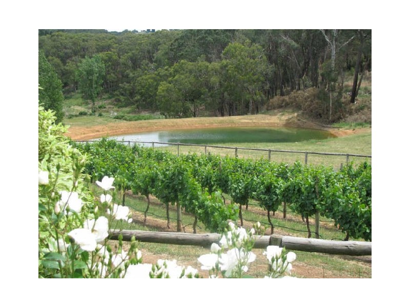 Lot 16 Mount Barker Road, Hahndorf SA 5245