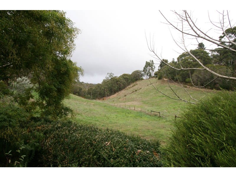 7 Wilbala Road, Longwood SA 5153