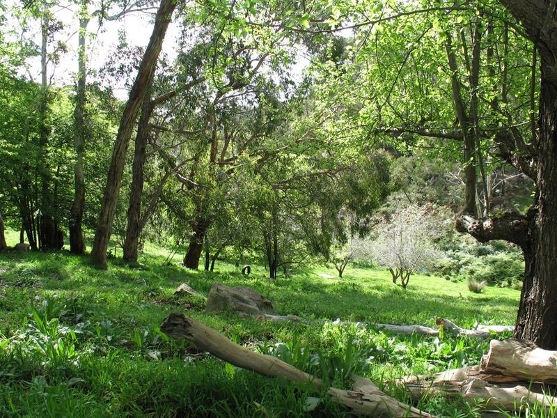 40 Sheoak Road, Crafers West SA 5152