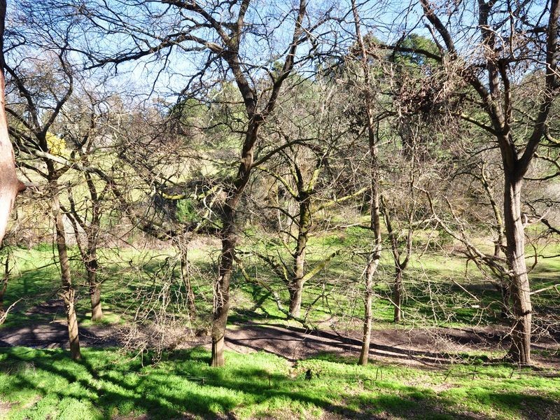 44 Whitewood Drive, Upper Sturt SA 5156