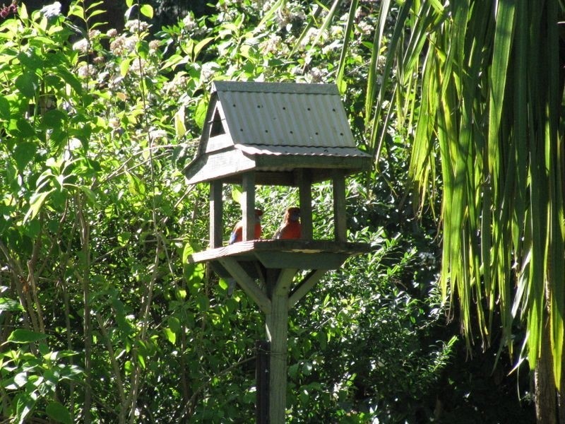 23 Branch Road, Aldgate SA 5154