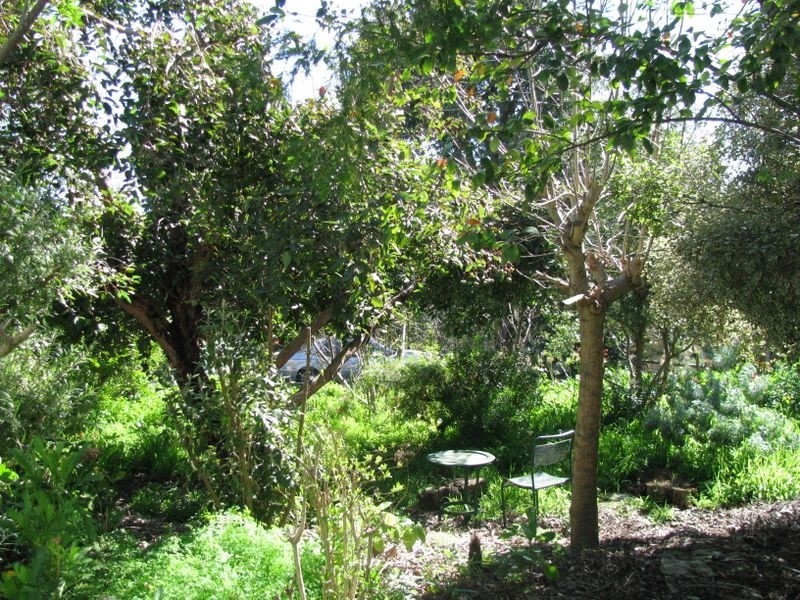 16 Second Avenue, Bridgewater SA 5155