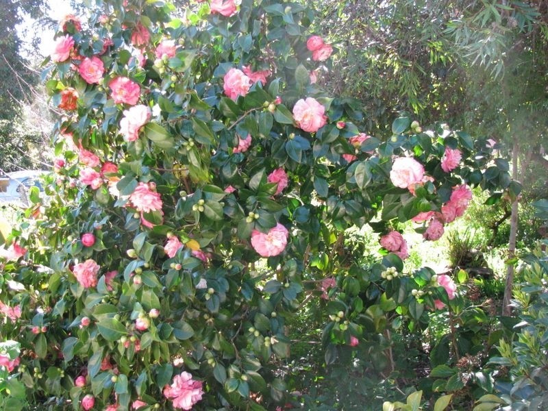 16 Second Avenue, Bridgewater SA 5155