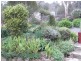 14 Churinga Road, Aldgate SA 5154