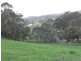 75 Scott Creek Road, Scott Creek SA 5153