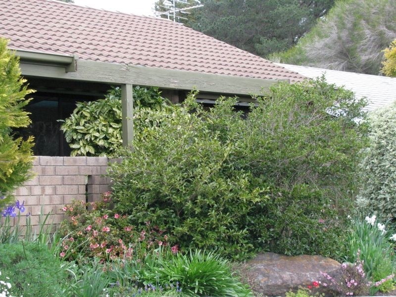 8 Nitschke Drive, Hahndorf SA 5245