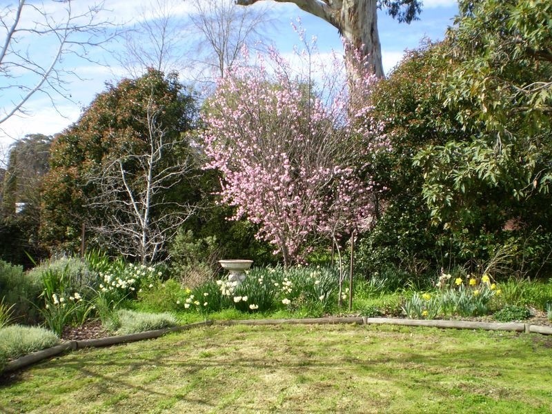 8 Nitschke Drive, Hahndorf SA 5245