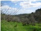 Lot 29 Hill Street, Crafers West SA 5152