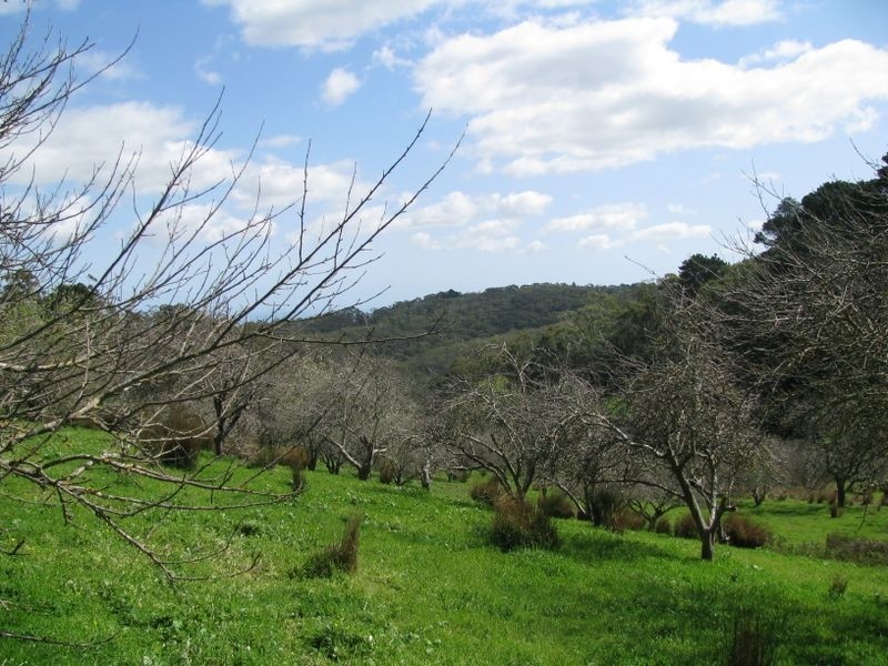 Lot 29 Hill Street, Crafers West SA 5152