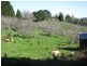 Lot 29 Hill Street, Crafers West SA 5152