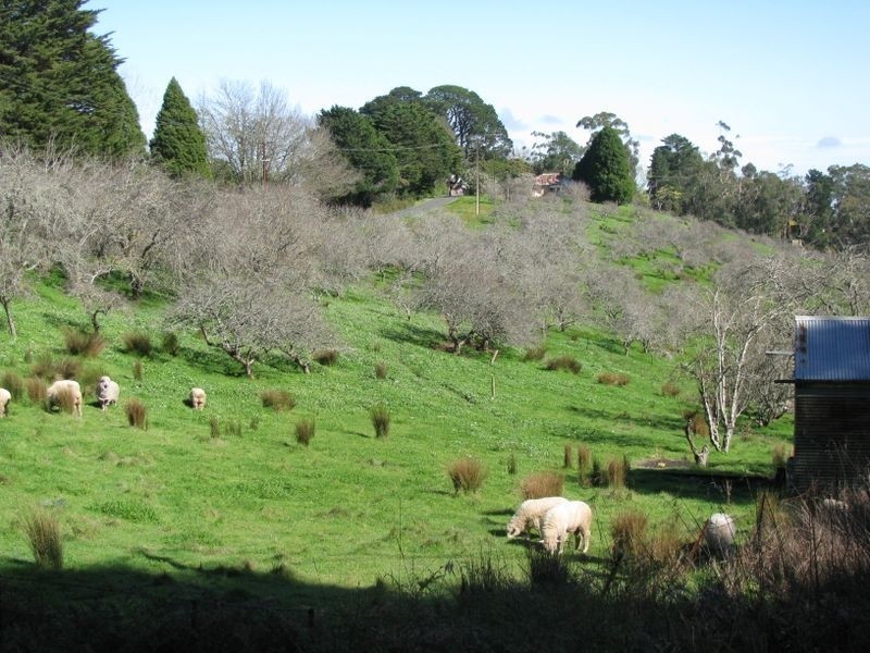 Lot 29 Hill Street, Crafers West SA 5152