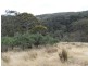 Lot 7 Hill Street, Crafers West SA 5152