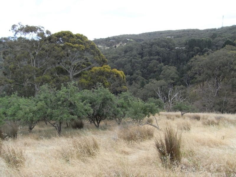 Lot 7 Hill Street, Crafers West SA 5152