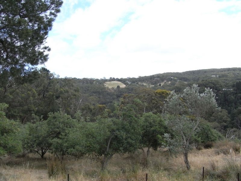 Lot 7 Hill Street, Crafers West SA 5152