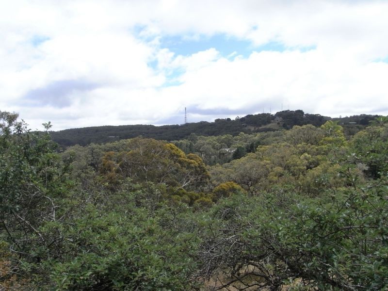 Lot 7 Hill Street, Crafers West SA 5152