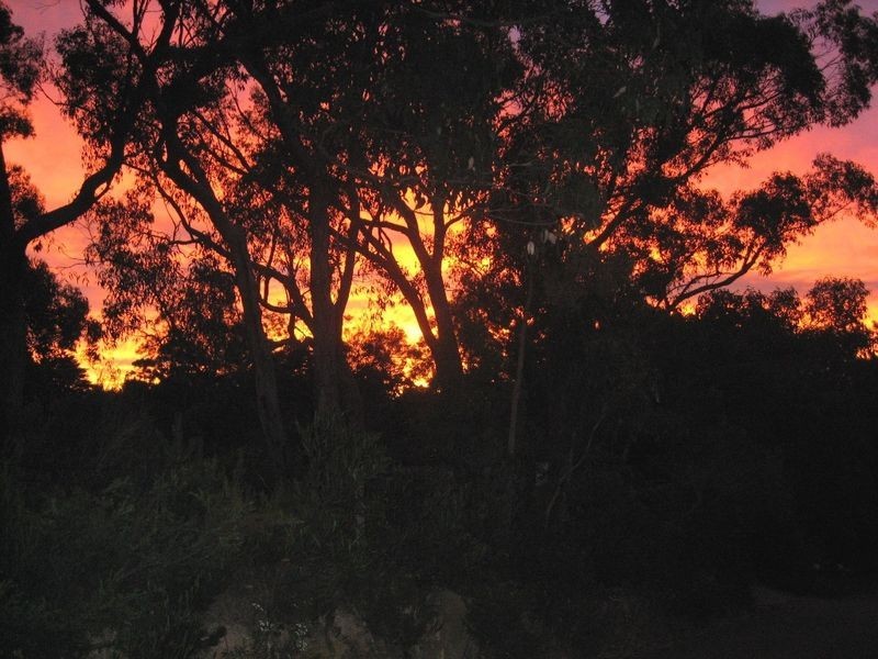 Lot 101 Glen Street, Crafers West SA 5152