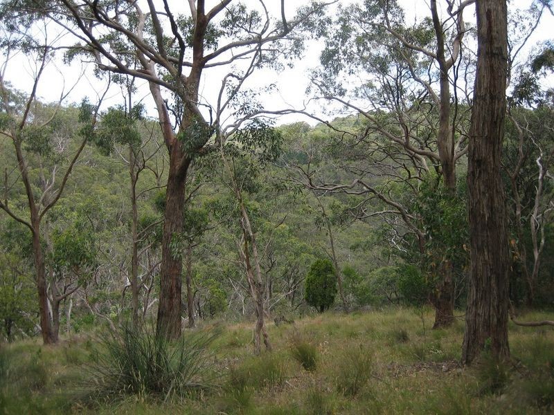 Lot 101 Glen Street, Crafers West SA 5152