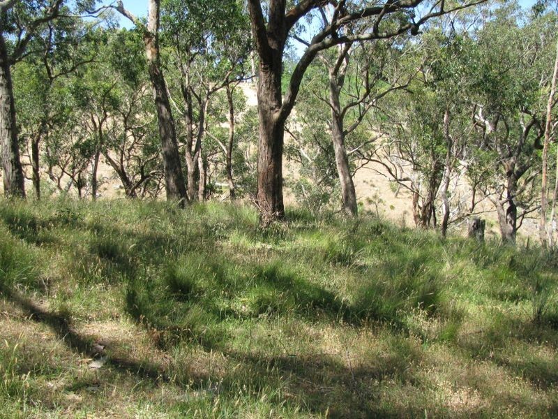 Lot 101 Glen Street, Crafers West SA 5152