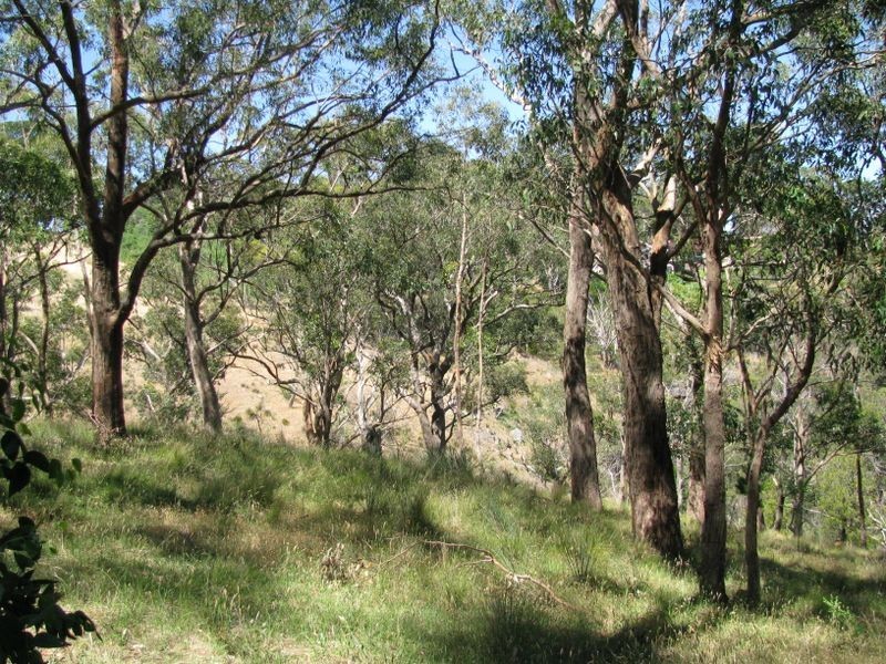 Lot 101 Glen Street, Crafers West SA 5152