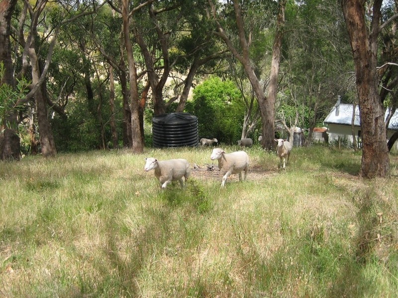 Lot 4 Glen Street, Crafers West SA 5152