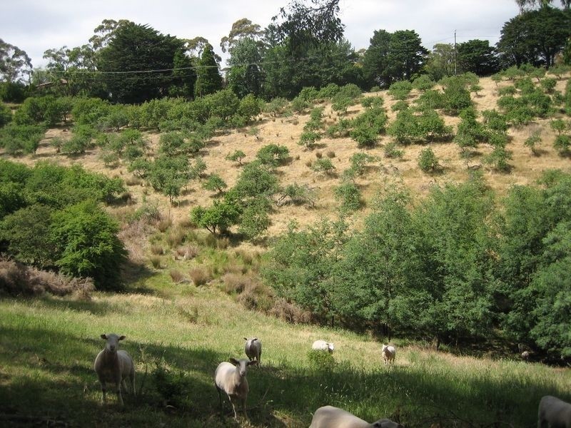 Lot 4 Glen Street, Crafers West SA 5152