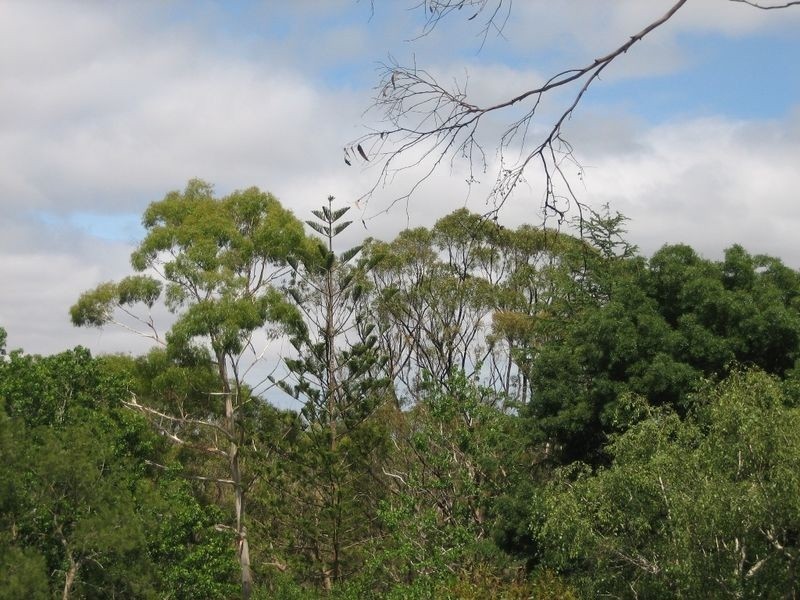 Lot 4 Glen Street, Crafers West SA 5152