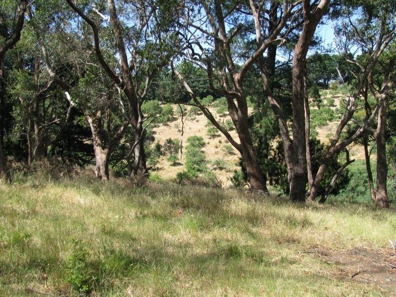 Lot 4 Glen Street, Crafers West SA 5152