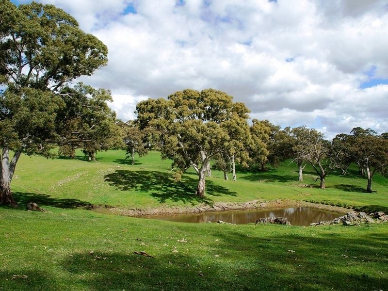Lot 7 Bird in Hand Road, Woodside SA 5244