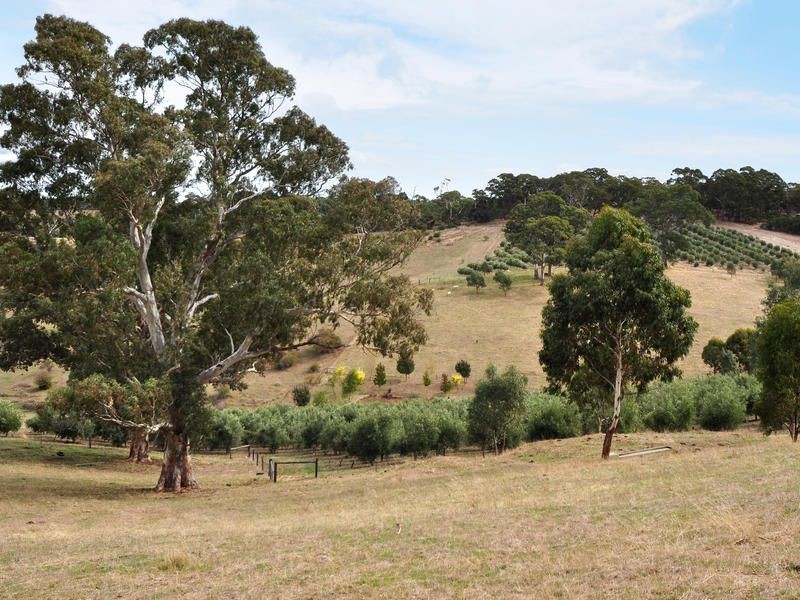 Lt 74 Marshall Rd, Chandlers Hill SA 5159