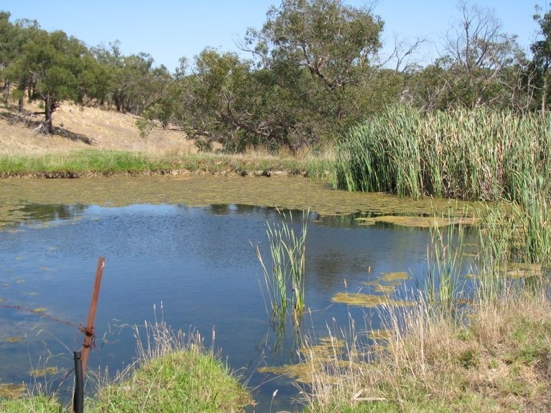 Sec 1140 Scott Creek Road, Scott Creek SA 5153