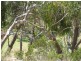 Sec 1140 Scott Creek Road, Scott Creek SA 5153