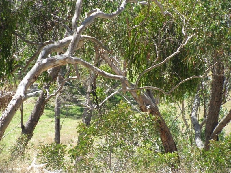 Sec 1140 Scott Creek Road, Scott Creek SA 5153