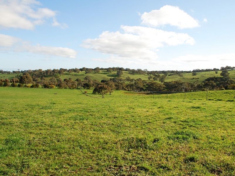 Lot 1 Stirling Hill Rd, Wistow SA 5251