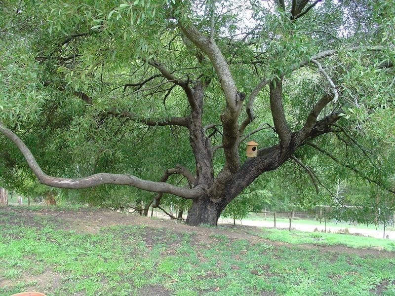 1 Blackwood Lane, Aldgate SA 5154