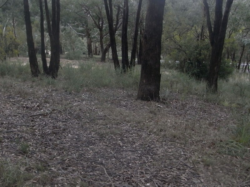 Lot 240 Upper Sturt Road, Upper Sturt SA 5156