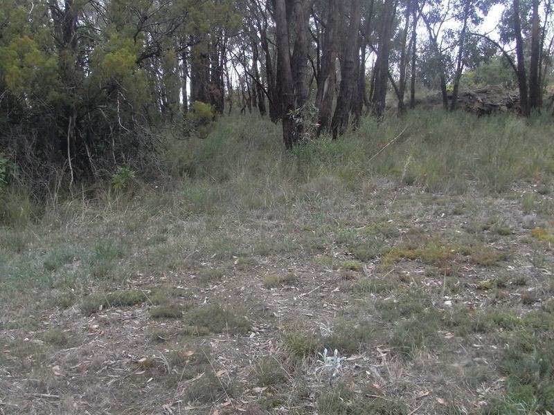 Lot 240 Upper Sturt Road, Upper Sturt SA 5156