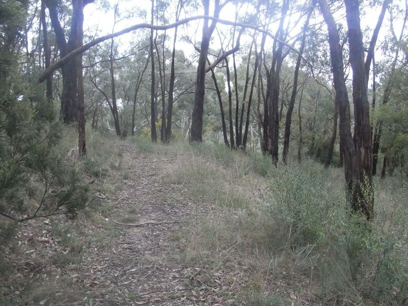 Lot 240 Upper Sturt Road, Upper Sturt SA 5156