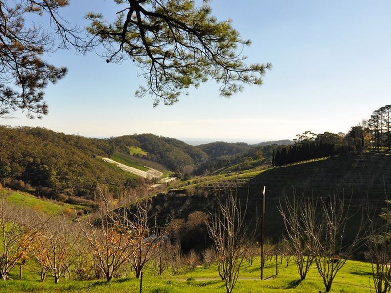 131 Woods Hill Road, Norton Summit SA 5136
