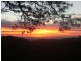 131 Woods Hill Road, Norton Summit SA 5136