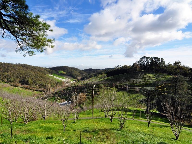 131 Woods Hill Road, Norton Summit SA 5136