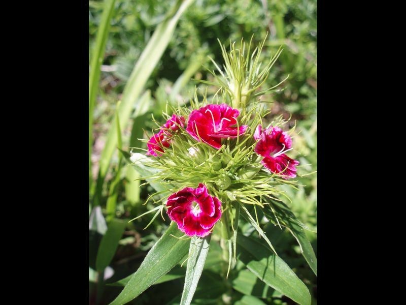 29 Hender Road, Heathfield SA 5153