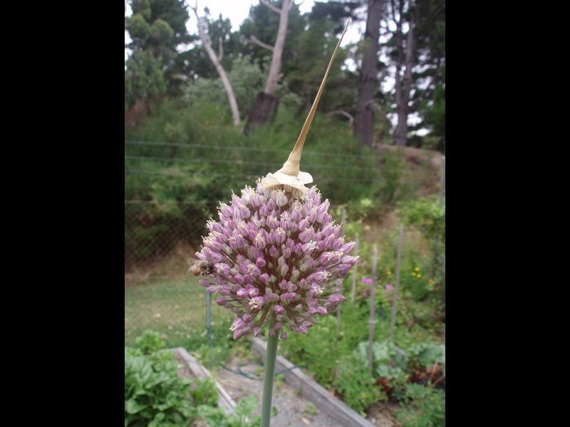 29 Hender Road, Heathfield SA 5153