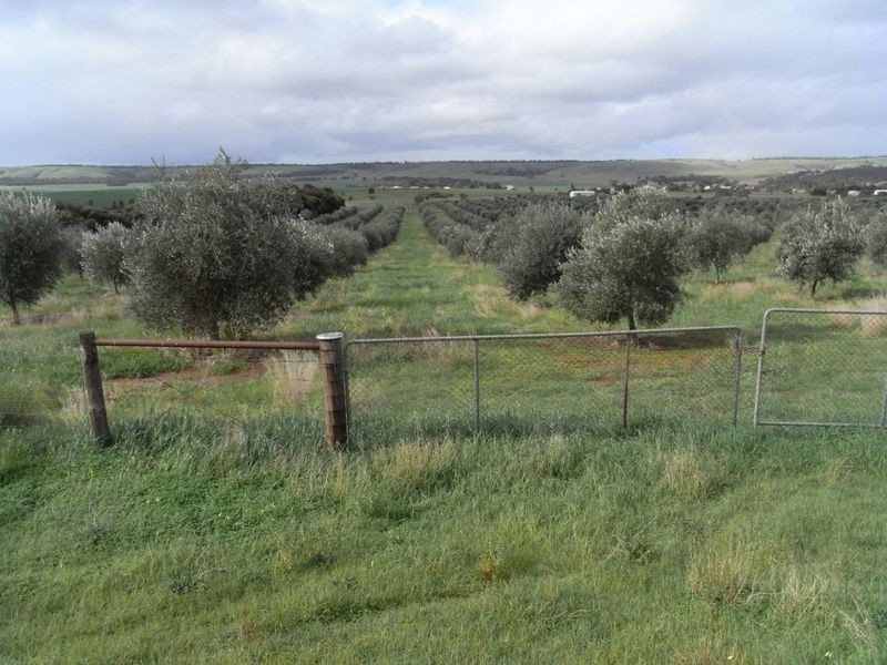 Lot 1 Callington Road, Callington SA 5254