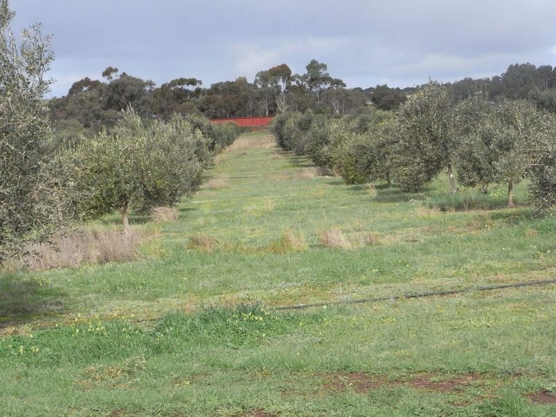 Lot 1 Callington Road, Callington SA 5254