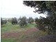 Lot 1 Callington Road, Callington SA 5254