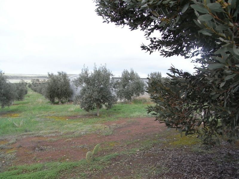 Lot 1 Callington Road, Callington SA 5254