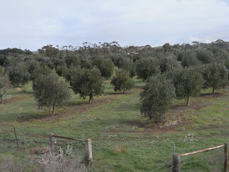 Lot 1 Callington Road, Callington SA 5254