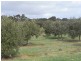 Lot 1 Callington Road, Callington SA 5254