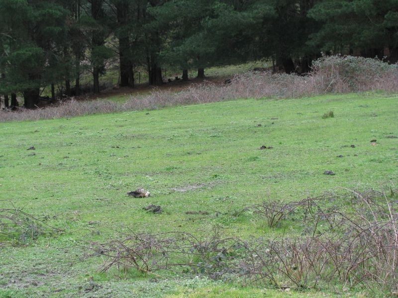 Sec 350 Porteus Rd, Bradbury SA 5153